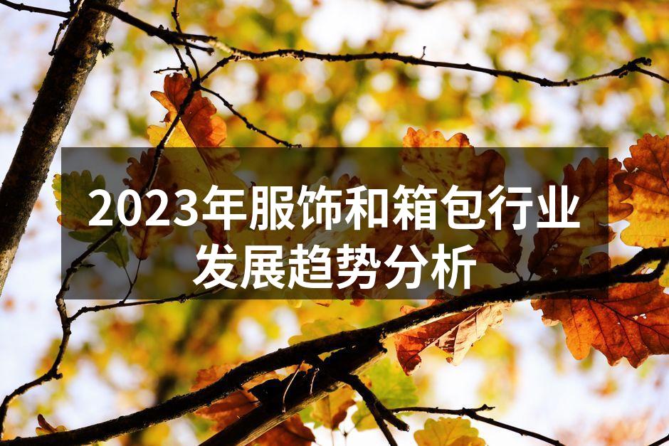 2023年服饰与箱包行业发展趋势分析