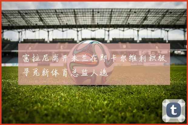 富拉尼离开米兰在即卡尔维利积极寻觅新体育总监人选